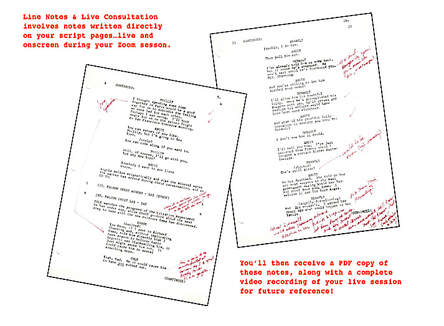 photo of script notes at the wiki screenplay contest