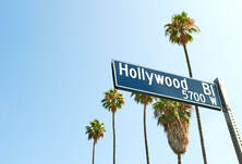 Hollywood Boulevard street sign with palm trees in background